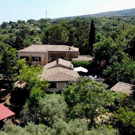 Bed And Breakfast Il Glicine Piedimonte Etneo Exteriér fotografie