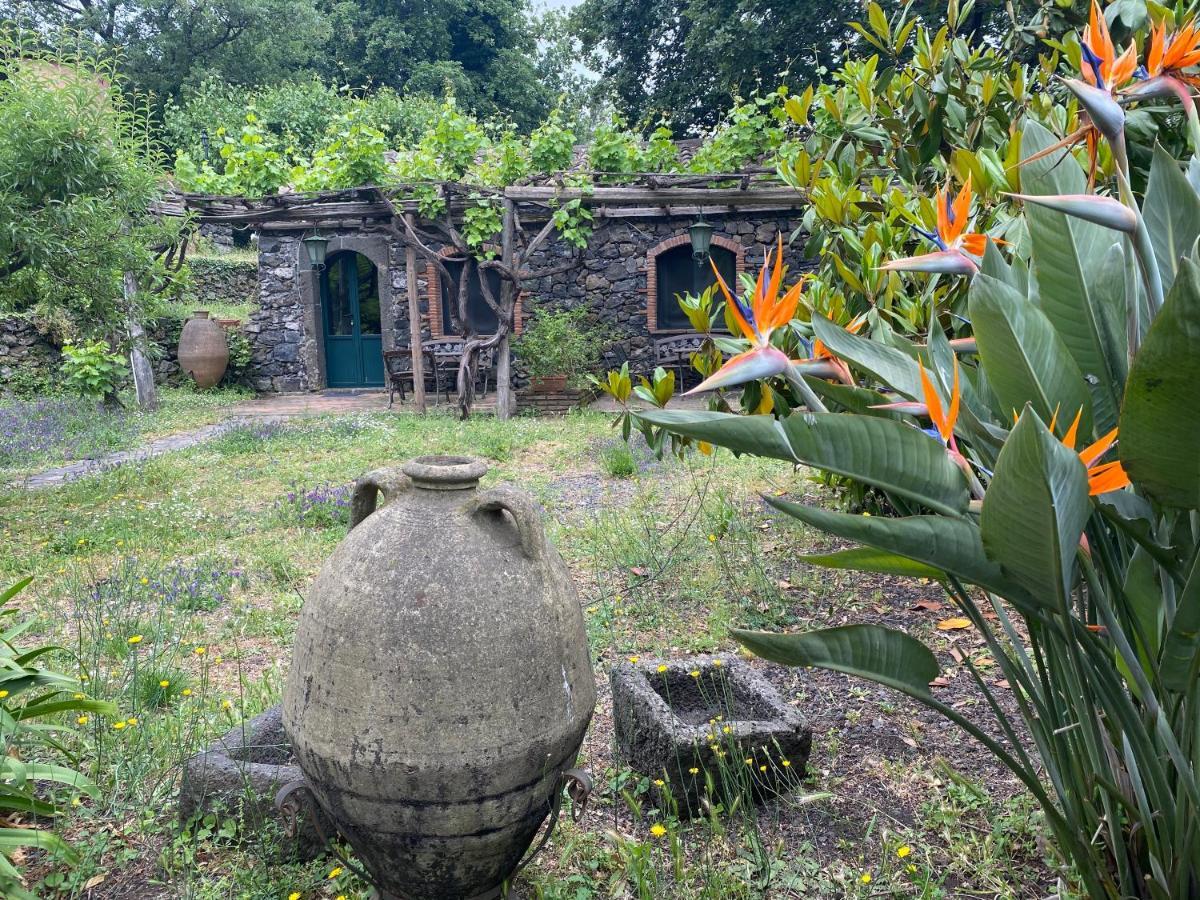 Bed And Breakfast Il Glicine Piedimonte Etneo Exteriér fotografie