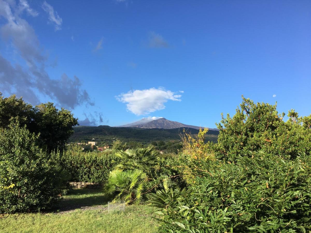 Bed And Breakfast Il Glicine Piedimonte Etneo Exteriér fotografie