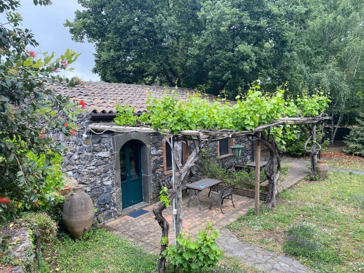 Bed And Breakfast Il Glicine Piedimonte Etneo Exteriér fotografie