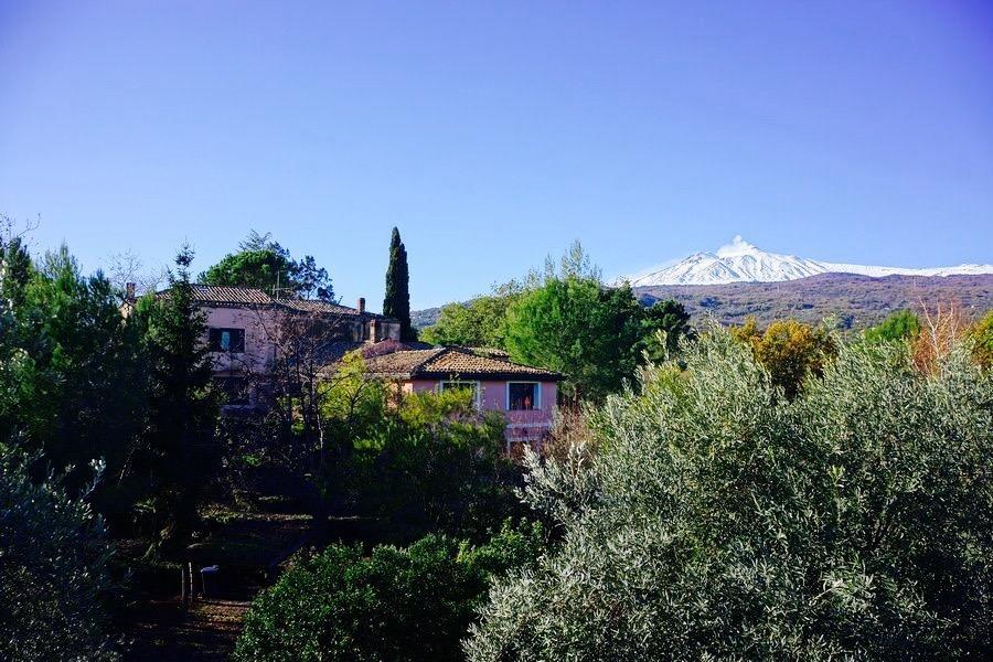 Bed And Breakfast Il Glicine Piedimonte Etneo Exteriér fotografie
